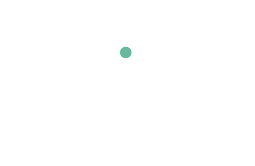 LAUNCH COMPETITIVE PRODUCTS & SERVICES